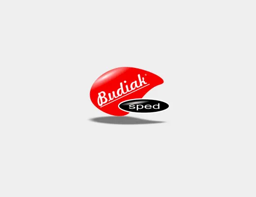 Budiak Sped Transport i Spedycja